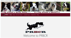 Desktop Screenshot of prbcr.org